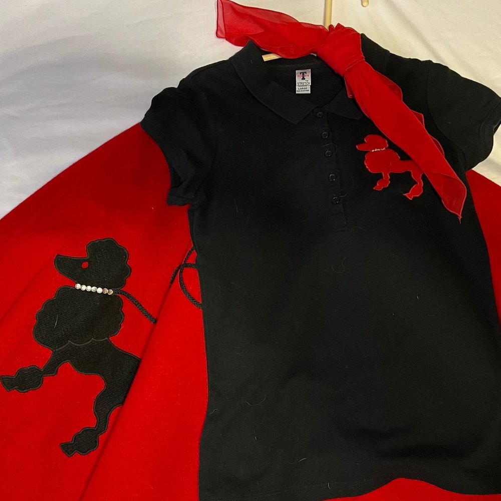 Kids Poodle Skirt and Shirt